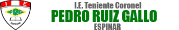Logo PRG Espinar